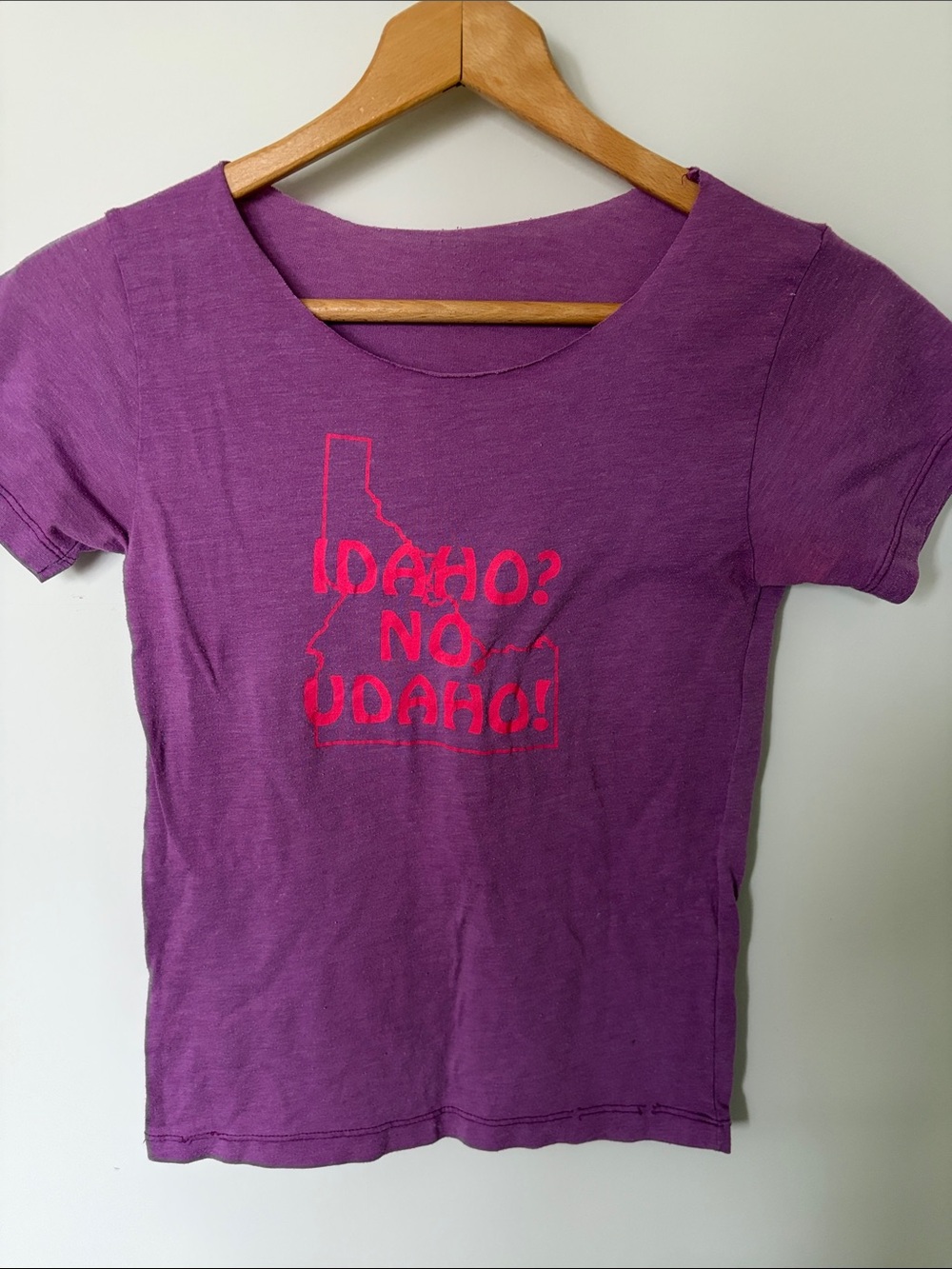 UO Purple Graphic Tee with Pink Idaho Print